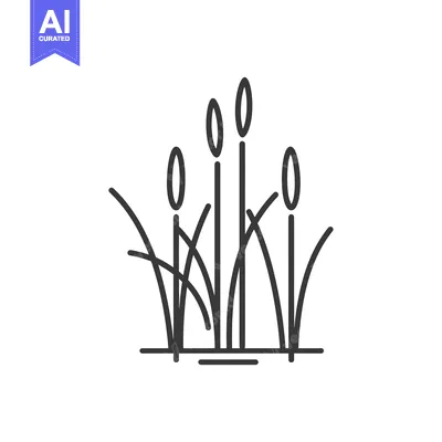 Premium design asset: Line Art Illustration of Tall Grasses with Rounded Tops Emerging from