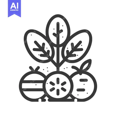 Aset desain premium: Line Art Illustration of Three Fruits with Leaves