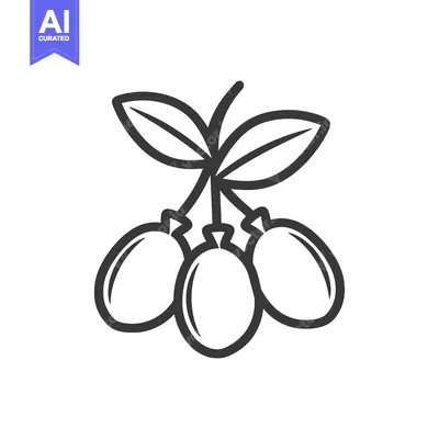 Aset desain premium: Line Art Illustration of Three Olives with Leaves