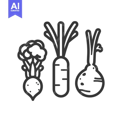 Aset desain premium: Line Art Illustration of Three Root Vegetables