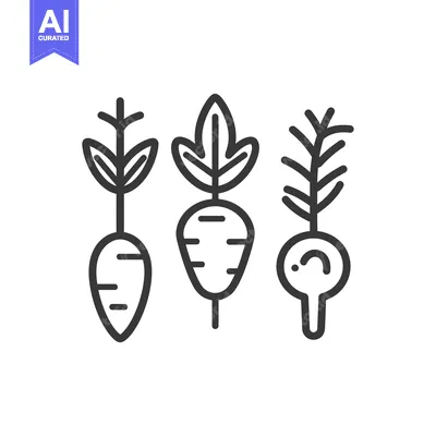 Aset premium populer: Line Art Illustration of Three Root Vegetables