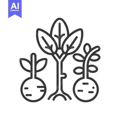 Line Art Illustration of Three Sprouting Plants