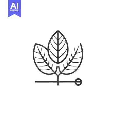 Popular premium asset: Line Art Illustration of Three Veined Leaves with a Stem and a Circle