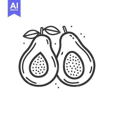 Aset premium populer: Line Art Illustration of Two Avocados with Leaves