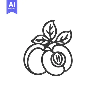 Aset desain premium: Line art illustration of two peaches with leaves