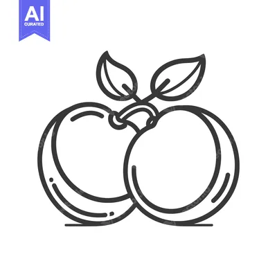 Line art illustration of two peaches with leaves