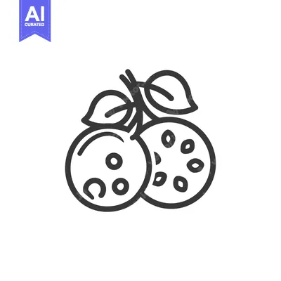 Aset premium populer: Line Art Illustration of Two Whole Oranges with Leaves