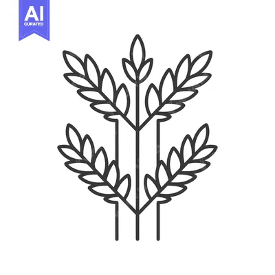 Premium design asset: Line Art Illustration of Wheat Stalks