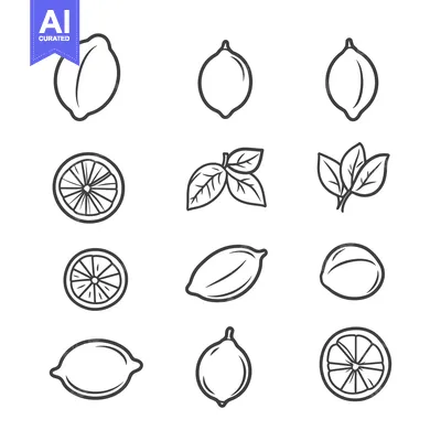 Aset desain premium: Line Art Illustration Set of Lemons and Lemon Slices
