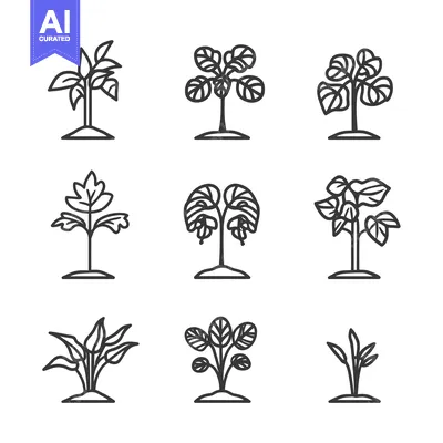 Aset premium populer: Line Art Illustrations of Nine Different Plants