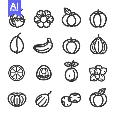 Popular premium asset: Line Art Illustrations of Various Fruits and Flowers