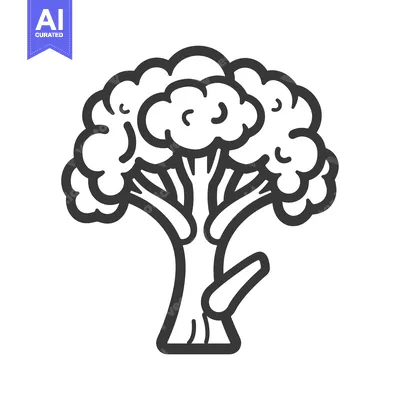 Aset desain premium: Line Drawing Illustration of a Broccoli Floret