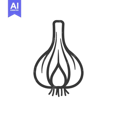 Popular premium asset: Line Drawing Illustration of a Single Garlic Bulb