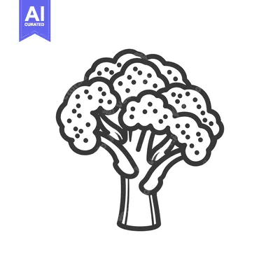 Premium design asset: Line drawing illustration of a single head of broccoli