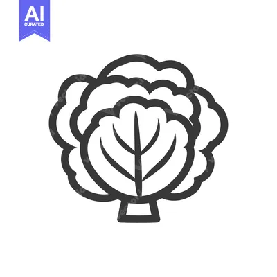 Aset premium populer: Line drawing illustration of a single head of broccoli