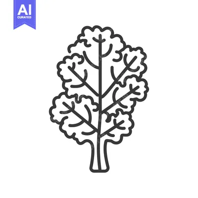 Line drawing illustration of a single kale leaf