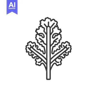 Aset desain premium: Line drawing illustration of a single stalk of kale with leaves