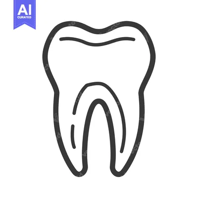 Line drawing illustration of a single tooth