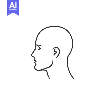 Aset premium populer: Line drawing of a bald head in profile