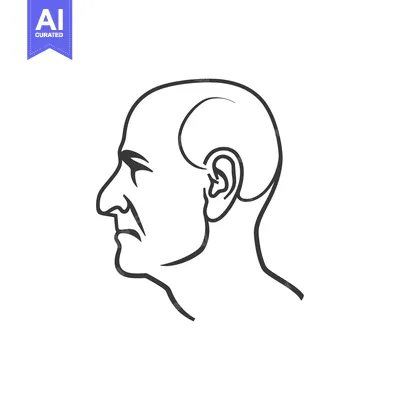 Premium design asset: Line Drawing of a Bald Man's Head in Profile