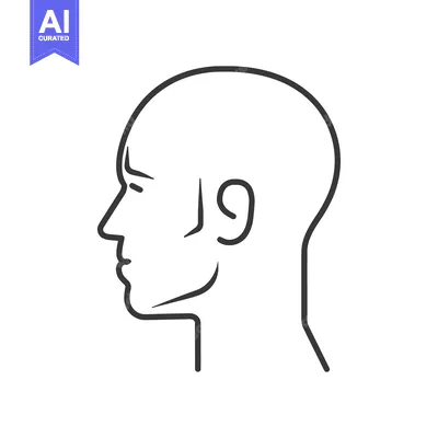 Aset desain premium: Line Drawing of a Bald Man's Head in Profile