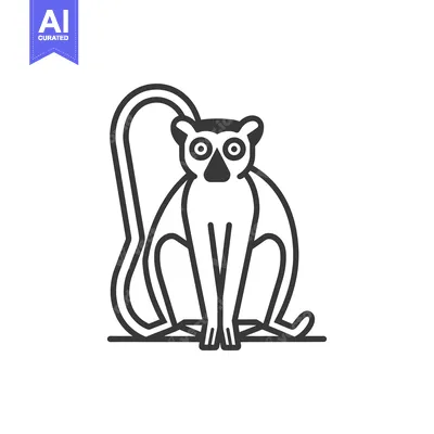 Aset desain premium: Line drawing of a black and white lemur sitting with its tail curled b