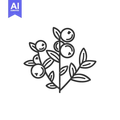 Aset premium populer: Line Drawing of a Blueberry Bush with Berries