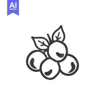 Premium design asset: Line Drawing of a Branch of Blueberries with Leaves