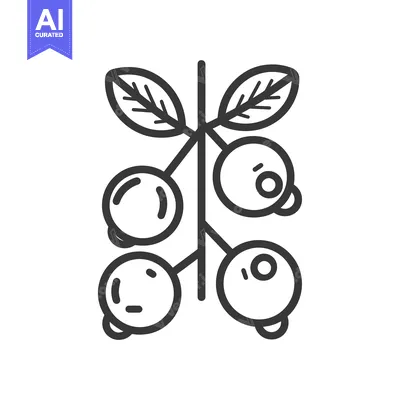 Popular premium asset: Line Drawing of a Branch of Blueberries with Leaves
