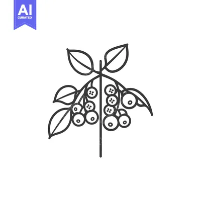 Premium design asset: Line Drawing of a Branch with Berries and Leaves
