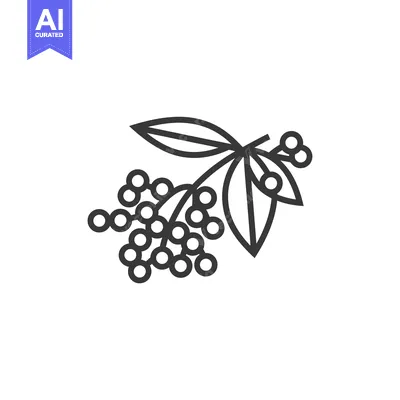 Aset premium populer: Line Drawing of a Branch with Berries and Leaves