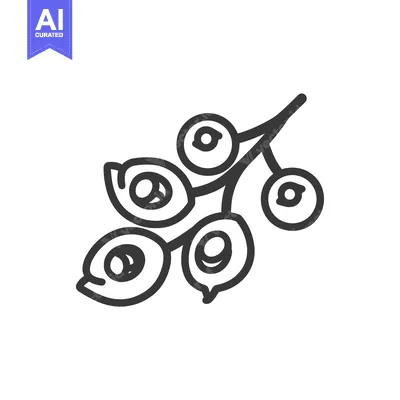 Aset premium populer: Line Drawing of a Branch with Five Berries