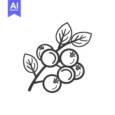Aset premium populer: Line Drawing of a Branch with Five Blueberries and Leaves