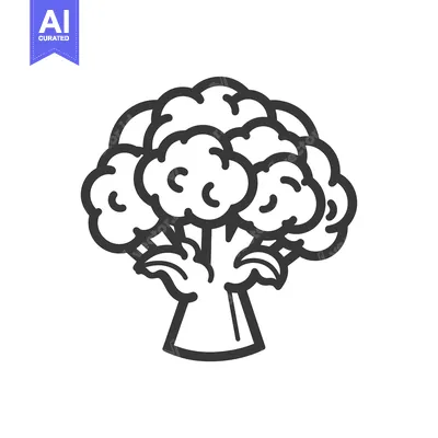 Popular premium asset: Line drawing of a broccoli floret