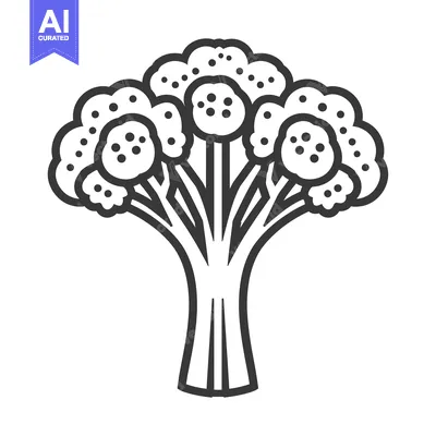 Popular premium asset: Line Drawing of a Broccoli Floret with a Stem