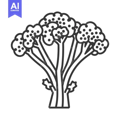 Premium design asset: Line drawing of a broccoli floret with stem