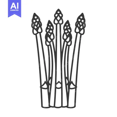 Popular premium asset: Line drawing of a bunch of asparagus spears