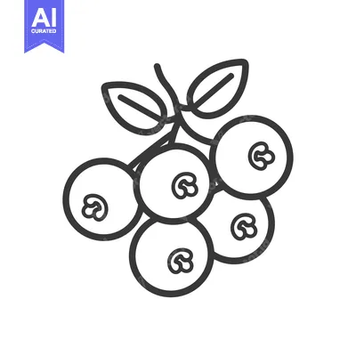 Aset premium populer: Line drawing of a bunch of blueberries with leaves