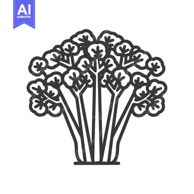 Popular premium asset: Line Drawing of a Bunch of Celery Stalks