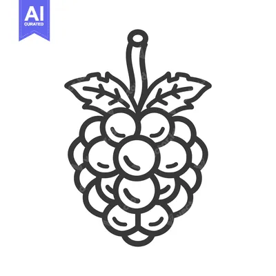 Aset desain premium: Line drawing of a bunch of grapes with a vine and leaves