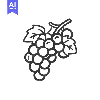 Popular premium asset: Line Drawing of a Bunch of Grapes with Leaves