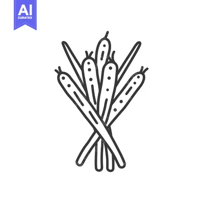 Premium design asset: Line drawing of a bunch of lemongrass stalks