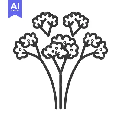 Premium design asset: Line Drawing of a Bunch of Parsley