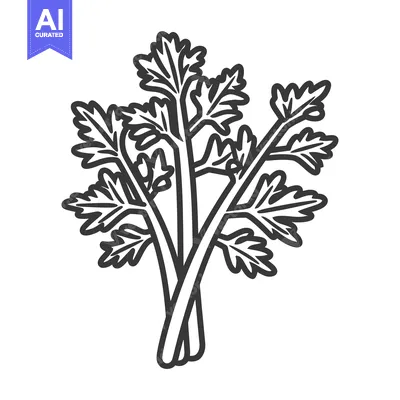Aset desain premium: Line Drawing of a Bunch of Parsley