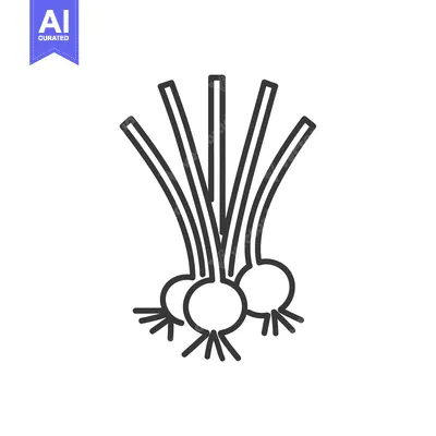 Aset desain premium: Line Drawing of a Bunch of Turnips with Roots