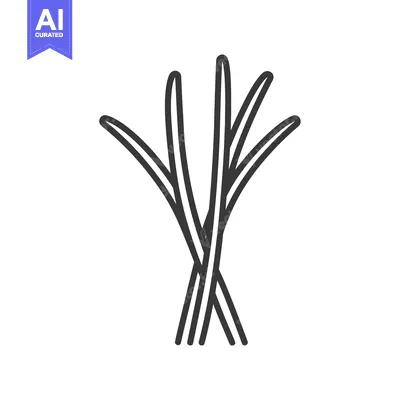 Aset desain premium: Line Drawing of a Bundle of Lemongrass Stalks