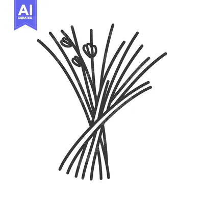 Popular premium asset: Line Drawing of a Bundle of Lemongrass Stalks with Flower Buds