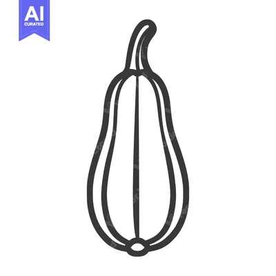 Aset premium populer: Line Drawing of a Butternut Squash