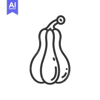 Premium design asset: Line Drawing of a Butternut Squash