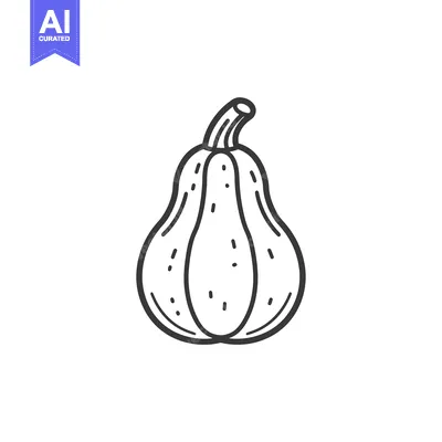 Aset premium populer: Line Drawing of a Butternut Squash